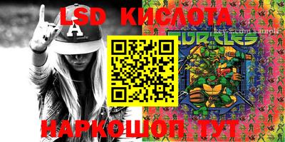 jwh Гатчина