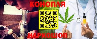 стаф Гай