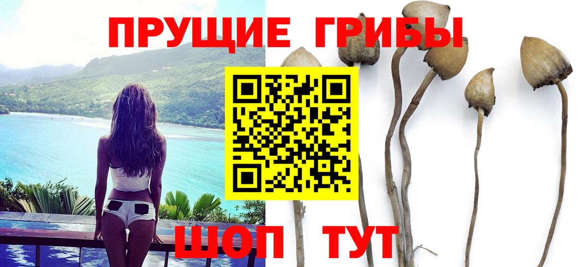Галлюциногенные грибы ЛСД Ейск