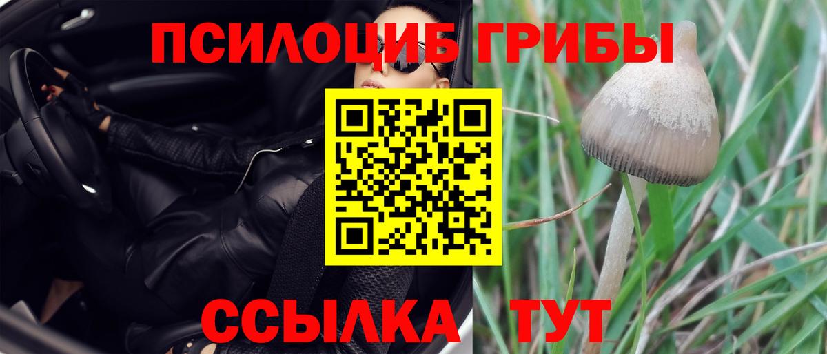 Галлюциногенные грибы мухоморы  купить наркотики сайты  Ейск  Вход с VPN 